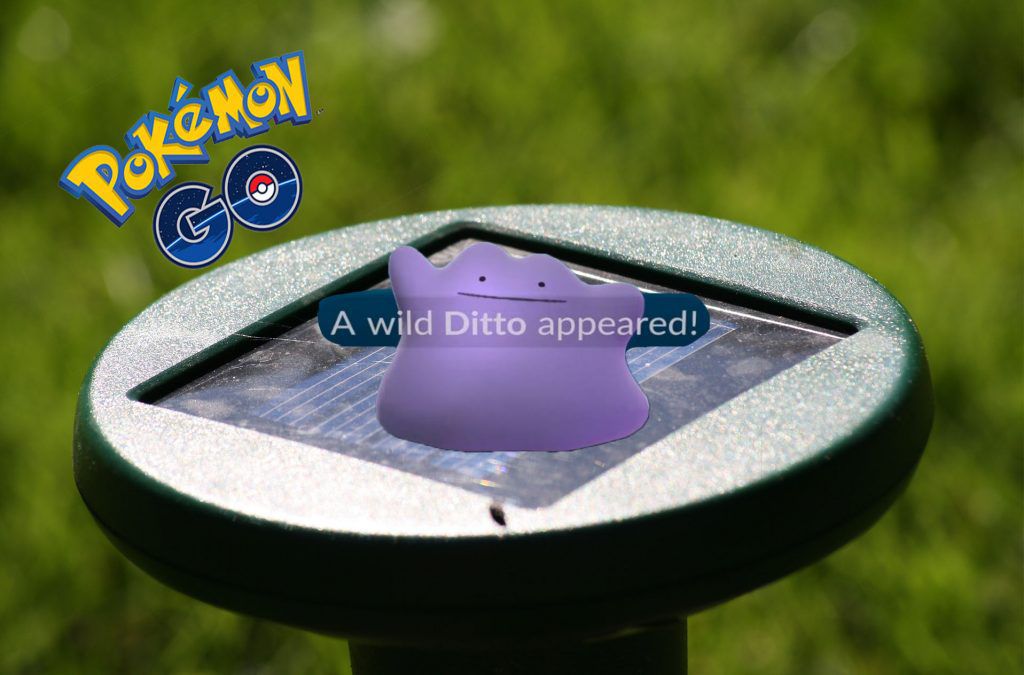 Pokémon GO Ditto Titel