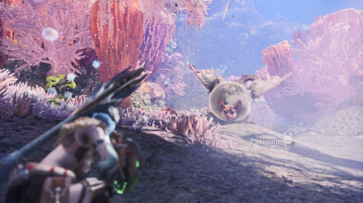 Monster-Hunter-World-Korallenhochland-Paolumu