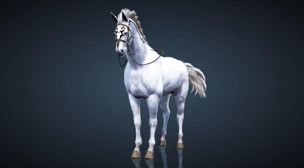 Black Desert Tier 7 Horse