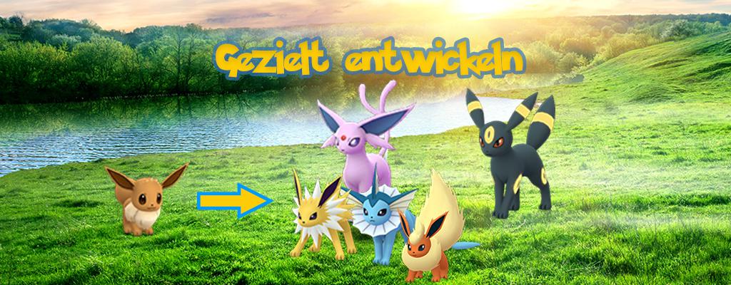 Pokemon Go Evoli Entwickeln Mit Spitznamen Und Kilometer Trick Flames Per Second