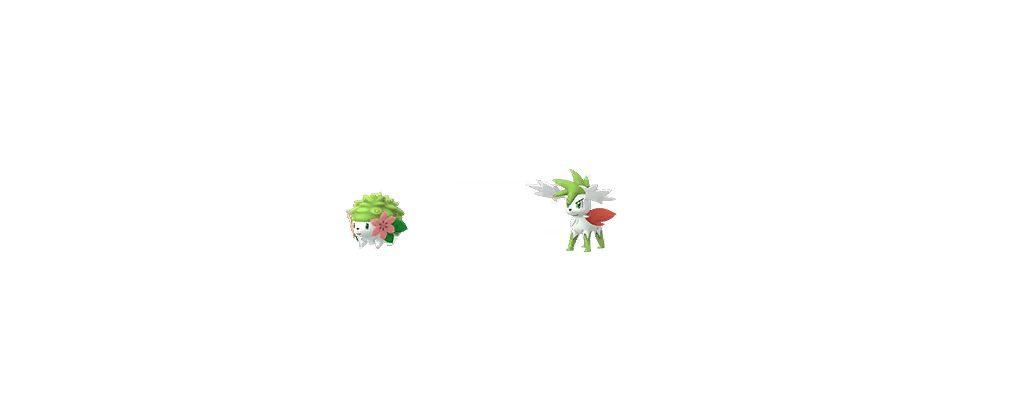 Shaymin Pokemon GO