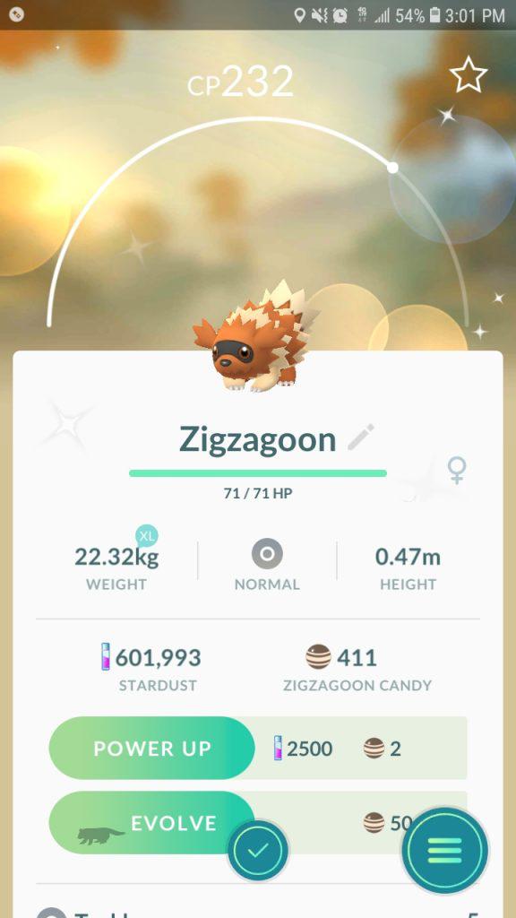 Shiny Zigzachs